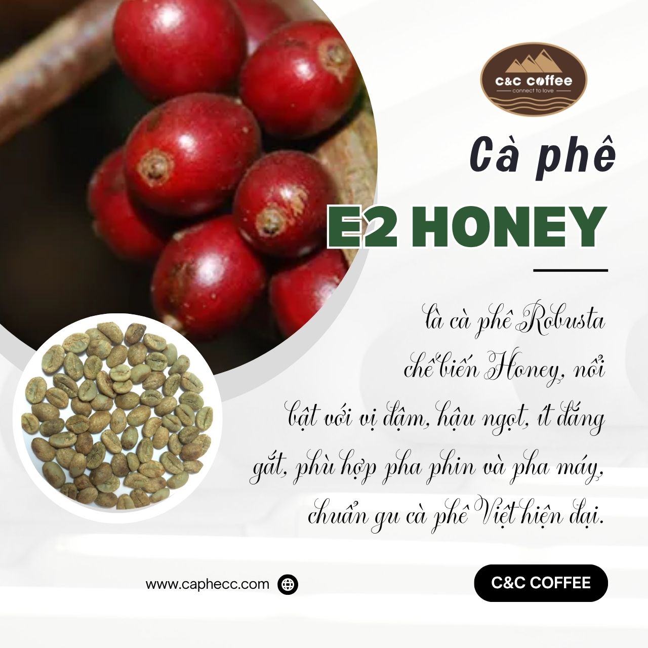 E2 Honey