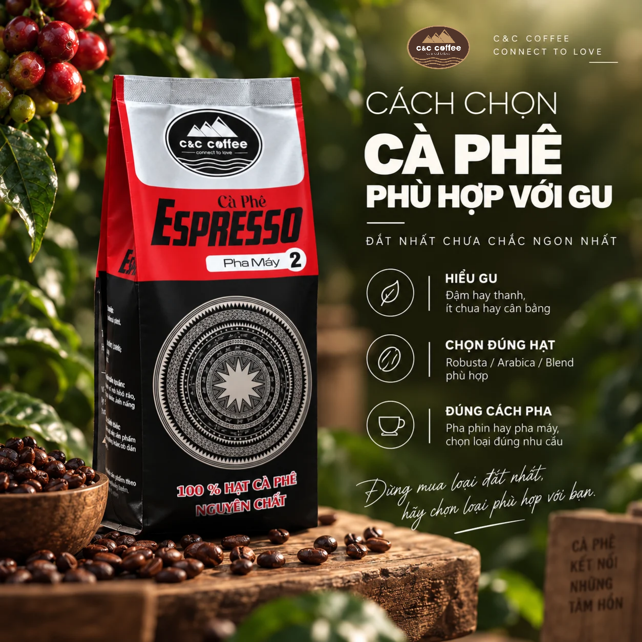 cách chọn cà phê