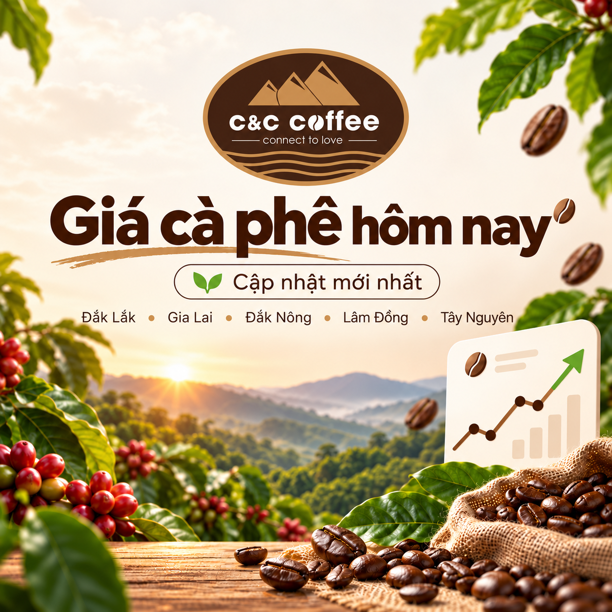 Giá cà phê hôm nay